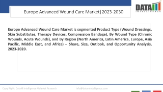 Europe Advanced Wound Care Market Competitive Landscape 2023-2030