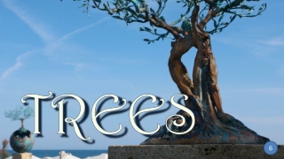 Trees 6 Andrea Roggi