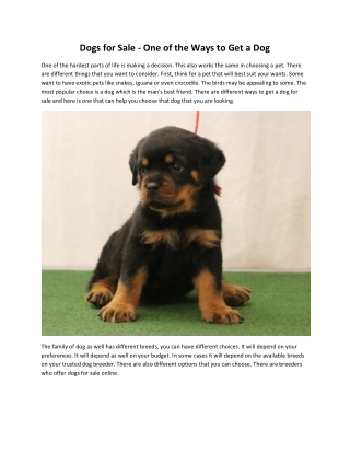 Rottweilers for sale