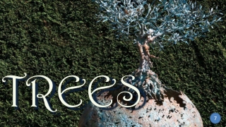 Trees 7 Andrea Roggi