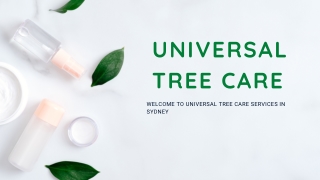 Tree Cutting services in Hunters Hill from Universal Tree Caree