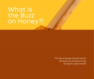 What is the Buzz on Honey?!