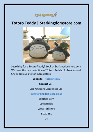 Totoro Teddy  Starkingdomstore