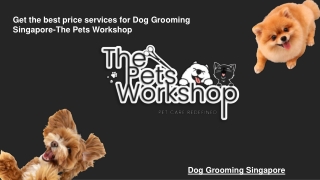 Get the best price services for Dog Grooming Singapore-The Pets Workshop