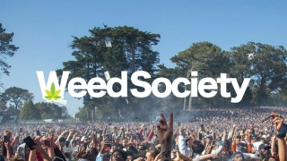 WeedSociety