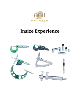 Insize Experience