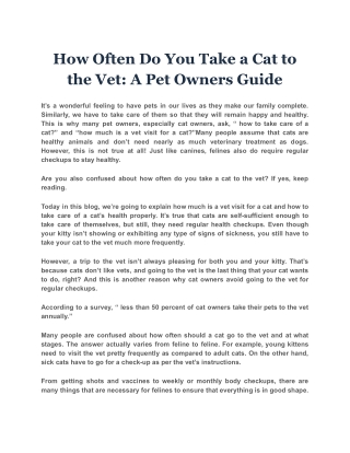 How Often Do You Take a Cat to the Vet: A Pet Owners Guide