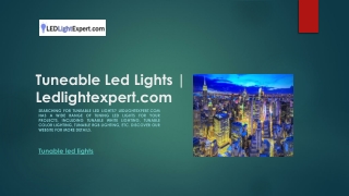 Tuneable Led Lights | Ledlightexpert.com