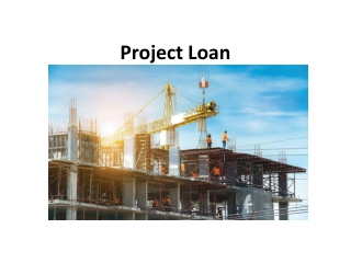 Project Loans