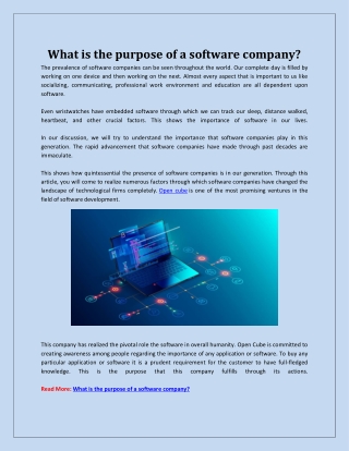 What is the purpose of a software company