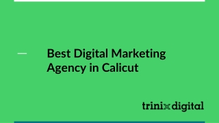 Best Digital Marketing Agency in Calicut