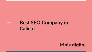 Best SEO Company in Calicut | SEO Service 2023
