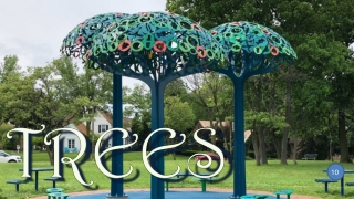 Trees 10