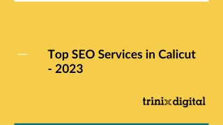 Top SEO Services in Calicut - 2023