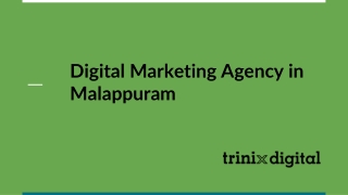 Digital Marketing Agency in Malappuram