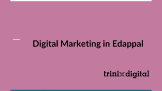 Digital Marketing Assistance in Edappal