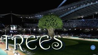 Trees 12
