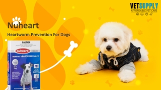 Nuheart Heartworm Tablets For Dogs | VetSupply