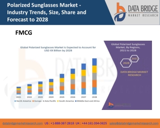 Polarized Sunglasses Market