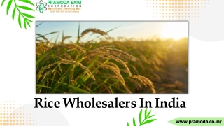 Rice Suppliers In India - Pramoda Exim Corporation