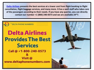 Delta Airlines provides the Best Services