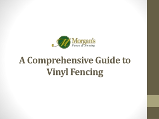 A Comprehensive Guide to Vinyl Fencing