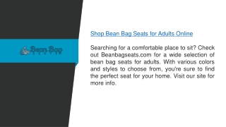 Shop Bean Bag Seats For Adults Online  Beanbagseats.com