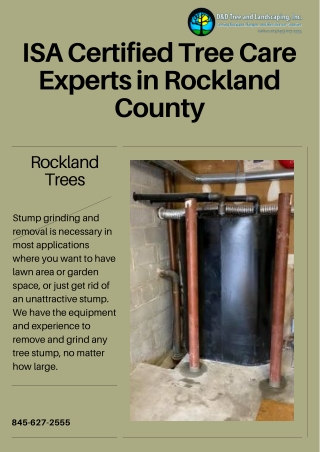 ISA Certified Tree Care Experts in Rockland County