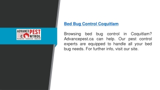 Bed Bug Control Coquitlam  Advancepest.ca