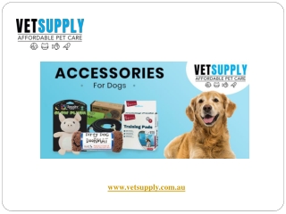 Dog Accessories | Dog Accessories Australia | VetSupply | Starting From $14.99 W