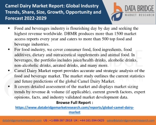 Camel Dairy Market