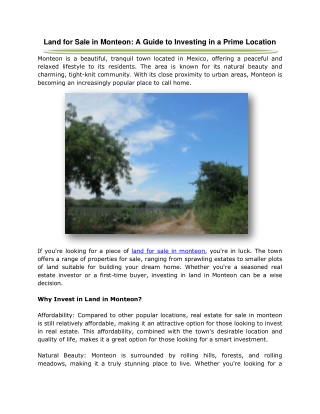 Land for Sale in Monteon: A Guide to Investing in a Prime Location