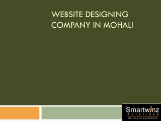 Website Designing Company In Mohali