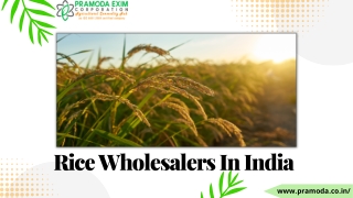 Rice Suppliers In India - Pramoda Exim Corporation