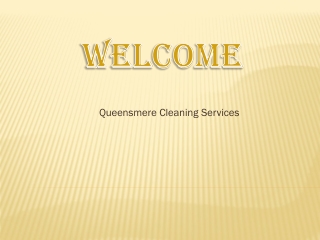 Looking for the best Carpet Cleaner in Daws Heath