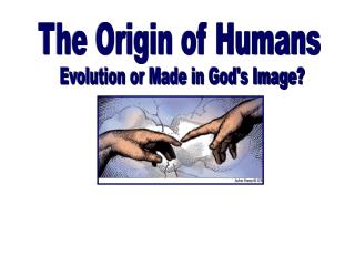the lost origin of the essay Percy presents examples after examples making them connection of how one has lost an experience through the base of this essay starts with the. the lost origin of the essay Percy presents examples after examples making them connection of how one has lost an experience through the base of this essay starts with the.