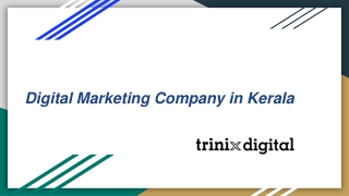Digital Marketing Company in Kerala