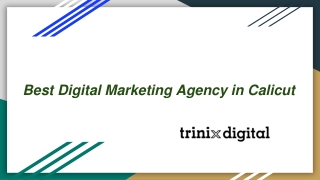 Best Digital Marketing Agency in Calicut