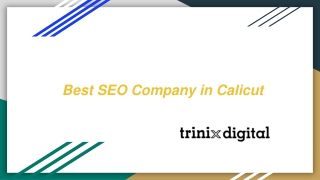 Best SEO Service Providing Company in Calicut