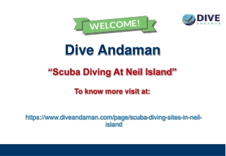 Scuba Diving At Neil Island