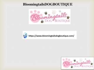 Dog Cookies Shop, bloomingtailsdogboutique.com