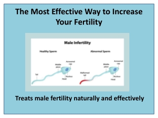 Male Fertility Supplement to Increase Sperm Count Naturally