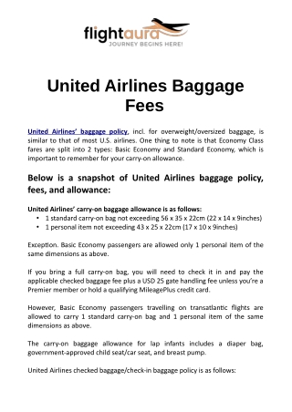 United Airlines Baggage Fees