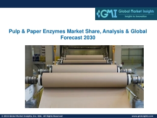 Pulp & Paper Enzymes Market Share, Analysis & Global Forecast 2030