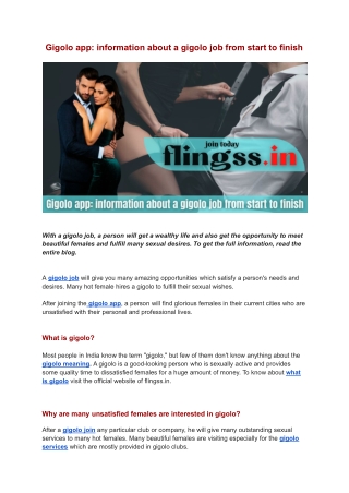 Gigolo app_ information about a gigolo job from start to finish