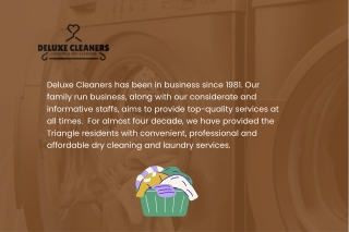 deluxe cleaners