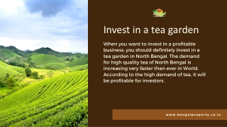 High Quality Tea Gardens For Sale In North Bengal