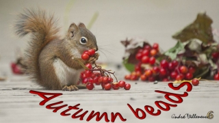 Autumn beads6