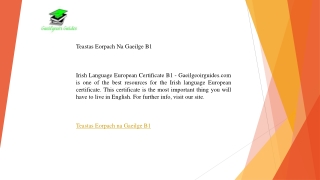 Teastas Eorpach Na Gaeilge B1   Gaeilgeoirguides.com