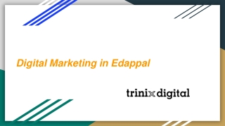 Digital Marketing Agency in Edappal